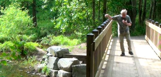 What I Bring to the Table